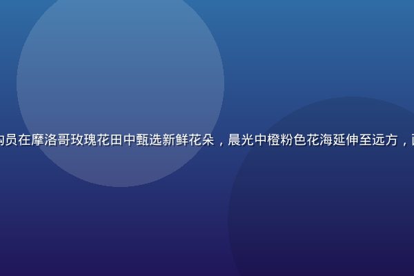 香水纯原料产地采购员在摩洛哥玫瑰花田中甄选新鲜花朵，晨光中橙粉色花海延伸至远方，画面充满自然生命力