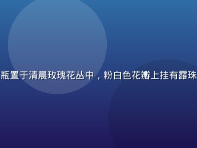 香水纯晨露花园系列香水瓶置于清晨玫瑰花丛中，粉白色花瓣上挂有露珠，画面清新明亮充满生机